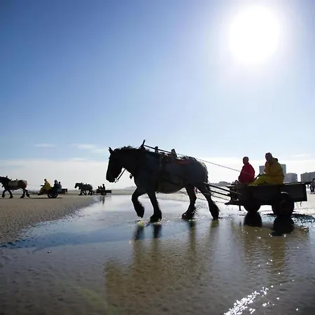 Coastal Comfort With Parking Appartement *